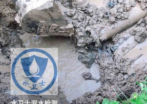 海伦水管漏水检测公司5